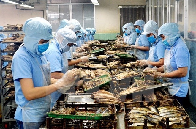 附圖：2018年前兩月越南水產(chǎn)品出口額同比增長近30%。（圖片來源：越通社）